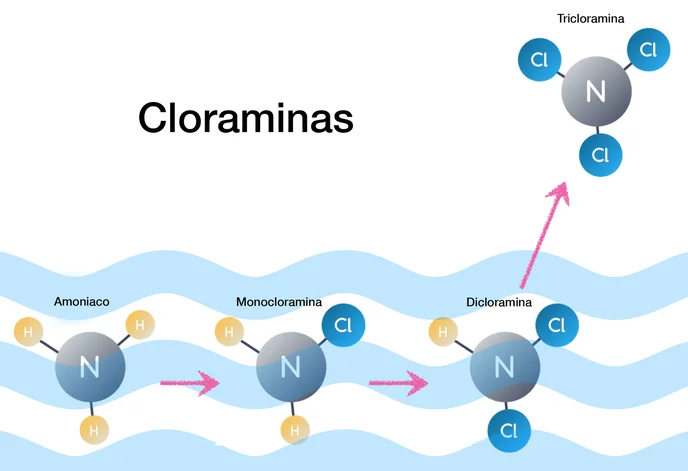 El efecto de las cloraminas y la irritacion de ojos en la piscina